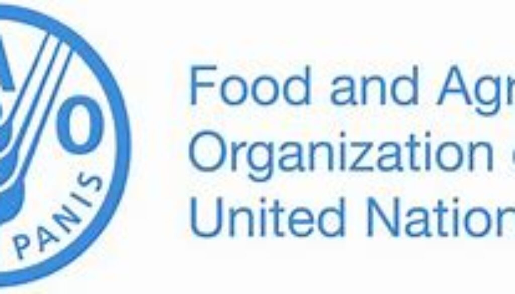 FAO Cash and Voucher Assistance Analyst, Uganda, Job Ref. UG/FAO/0704/24-918